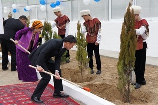 Памятная посадка деревьев